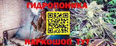 mdma Берёзовский