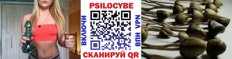 цена   Великий Устюг  Галлюциногенные грибы MAGIC MUSHROOMS 