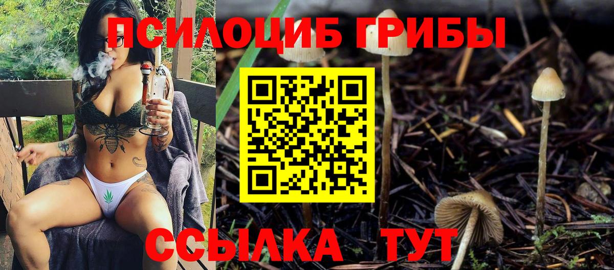 Галлюциногенные грибы GOLDEN TEACHER Великий Устюг