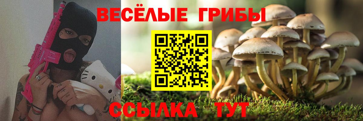 Псилоцибиновые грибы Cubensis Великий Устюг